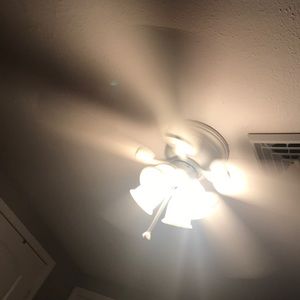 Meet your Posher, Boris